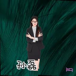 孙磊